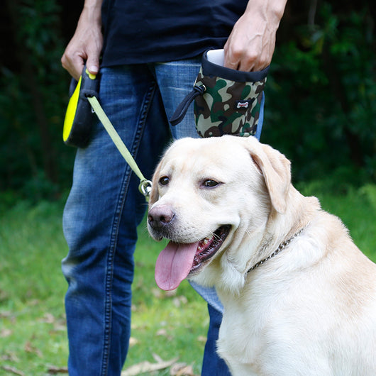 Riñonera Multifuncional para Pasear Perros - Image 4