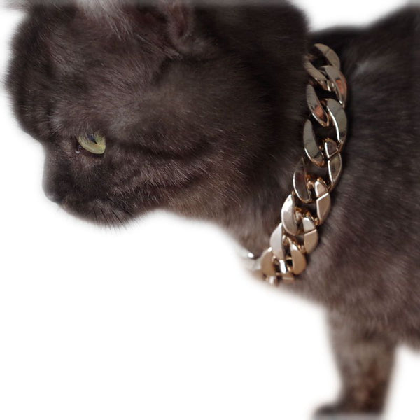 Collar de Oro para Mascotas - Joya Elegante para tu Perro