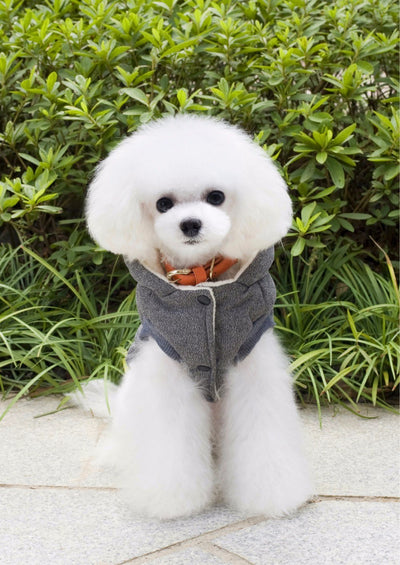 Abrigo de Invierno para Mascotas Pequeñas con Diseño de Bigote - Image 5