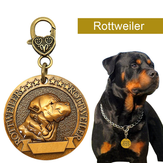 Placa de Identificación para Perros Grabada en Metal - Antiloss - Image 25
