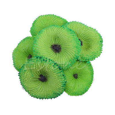 Decoración de Acuario con Coral - Equipo de Paisajismo Acuático - Image 6