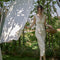 Vestido Elegante Retro Francés con Encaje Onda y Bordado, Cuello V Ajustado