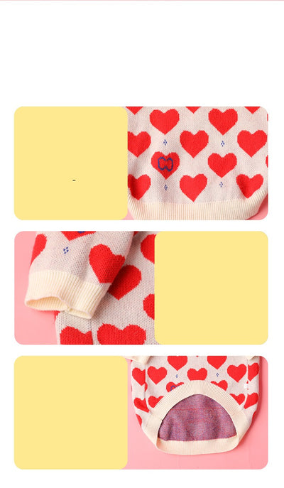 Suéter Tejido para Schnauzer y Gatos Pequeños - Image 2