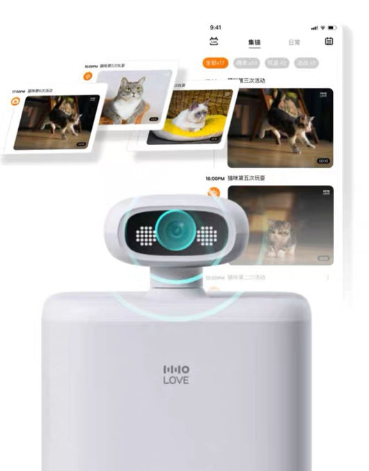 Comedero Automático para Gatos con Cámara 1080P, Control de Porciones y Visión Nocturna - Image 12