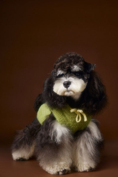 Chaleco Sudadera con Capucha y Estampado de Perrito - Image 17