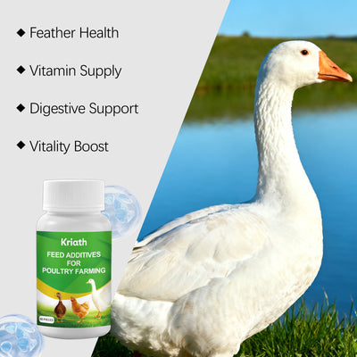 Tabletas de Suplemento Nutricional para Aves de Corral y Animales Pequeños - Image 9