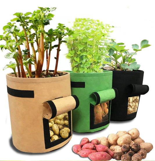 Bolsa de Cultivo para Papas
