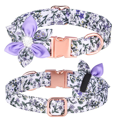 Juego de Collar y Correa Personalizado para Mascotas - Image 17