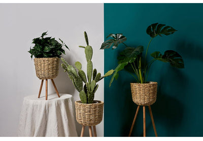 Macetero de Pie en Fibra Natural - Decoración Elegante para Interiores - Image 5