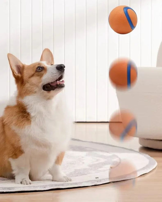 Pelota de Juego Resistente para Perros - Juguete Elástico para Traer y Masticar - Image 19