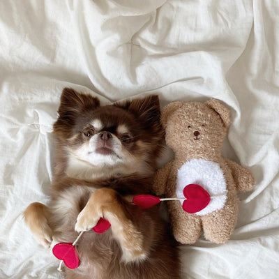 Osito Tibetano Reconfortante para Dormir - Juguete Suave para Perros - Image 4