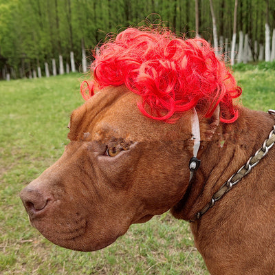 Peluca Afro para Mascotas con Flequillo y Coletas