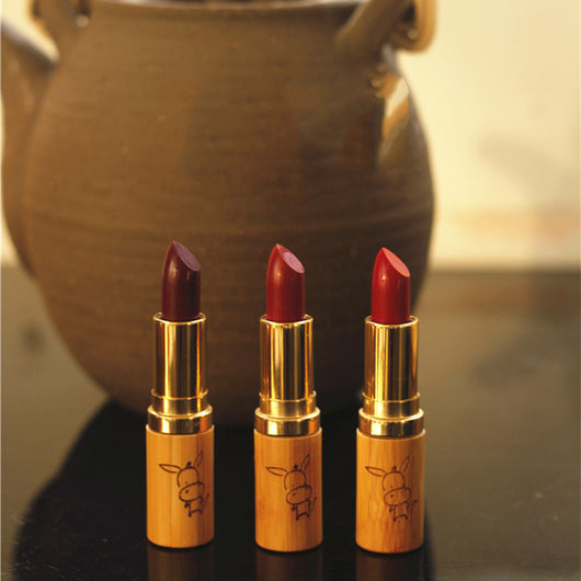 Lápiz Labial de Plantas Naturales