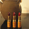 Lápiz Labial de Plantas Naturales