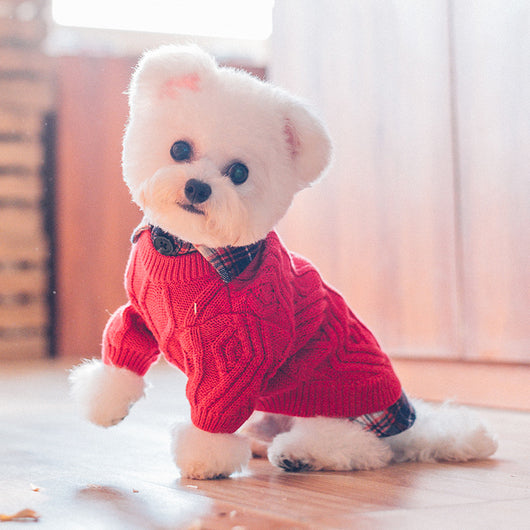 Suéter Abrigador para Perros - Ropa de Otoño e Invierno