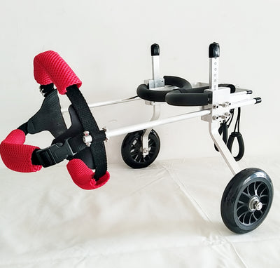 Silla de Ruedas para Perros - Completamente Ajustable - Image 6