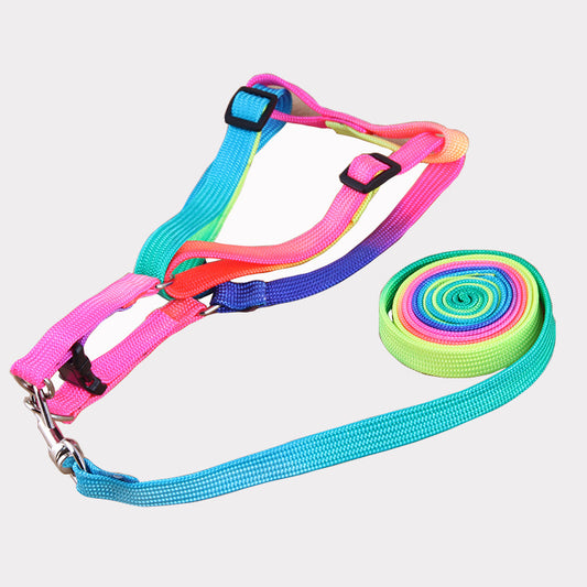Correas Coloridas para Mascotas - Image 2