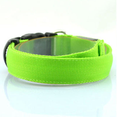 Collar Luminoso Fluorescente para Perros - Image 3