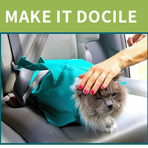 Mochila Cruzada para Mascotas - Transporte Seguro y Cómodo