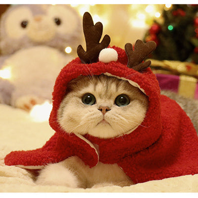 Capa y Gorro Navideño con Astas para Mascotas - Abrigo Cálido Otoño e Invierno - Image 6