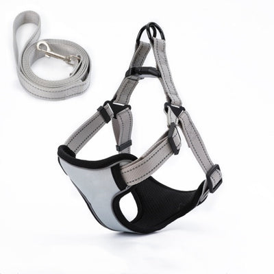 Arnés Chaleco para Pasear Perros con Cuerda Integrada - Image 11