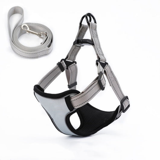 Arnés Chaleco para Pasear Perros con Cuerda Integrada - Image 11