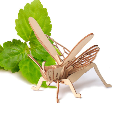 Puzzle 3D de Madera - Modelo de Insecto - Image 4