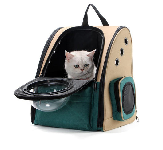 Mochila Portátil para Mascotas - Gatos y Perros - Image 6