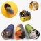 Túnel Interactivo para Gatos con Pompones de Fieltro y Nido Plegable