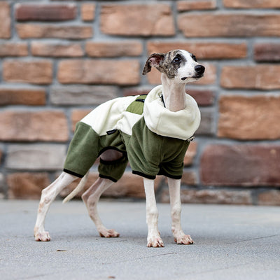 Abrigo Térmico para Mascotas con Cuello Desmontable Resistente al Viento - Image 2