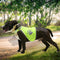 Chaleco Reflectante Fluorescente para Mascotas