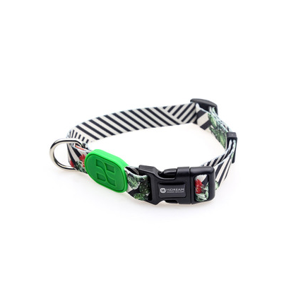 Collar de Perro Colorido - Image 5