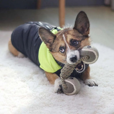Juguete Interactivo para Perros Medianos y Grandes - Cuerda de Algodón con Pelota de Tenis - Image 9