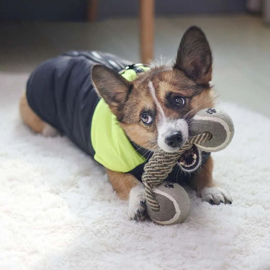 Juguete Interactivo para Perros Medianos y Grandes - Cuerda de Algodón con Pelota de Tenis - Image 9