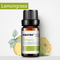 10 Ml Menta