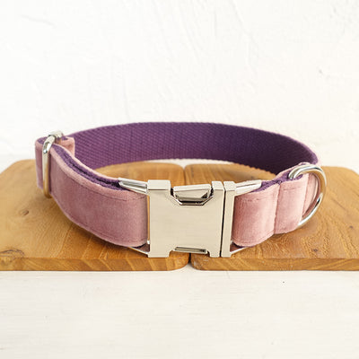 Collar Rosa para Perro - Image 4