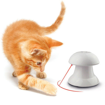 Orange tabby kitten playing with a white mushroom-shaped automatic laser cat toy, projecting a red laser dot.