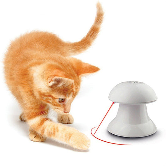 Orange tabby kitten playing with a white mushroom-shaped automatic laser cat toy, projecting a red laser dot.