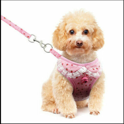 Chaleco Transpirable para Perros - Diseño Cómodo y Elegante - Image 6