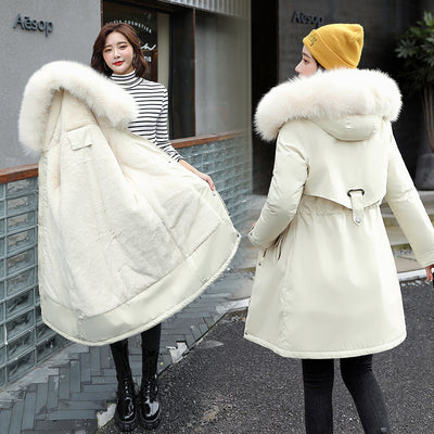 Chaqueta Acolchada de Algodón con Cintura Térmica para Invierno - Image 9