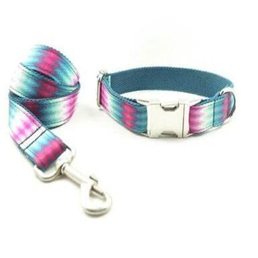 Juego de Collar y Correa para Perro con Patrón y Cinta de Color - Image 6