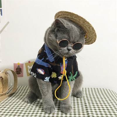 Ropa para Gatos - Diseño Cómodo y Elegante
