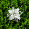 Blanco 10 Cm