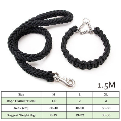 Collares y Correas para Perros de Nylon Reforzado - Entrenamiento y Paseos - Image 6