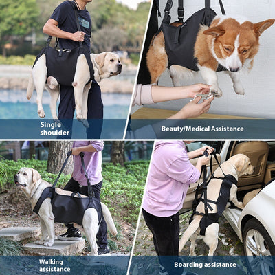 Arnés de Apoyo para Perros Lesionados en Tela Oxford - Image 3