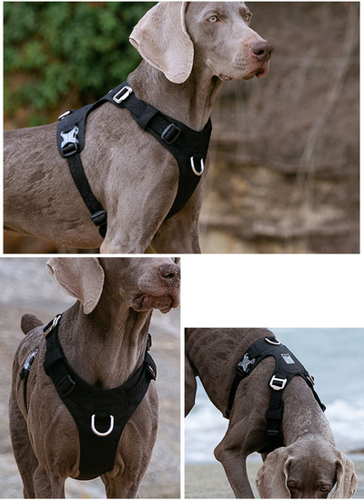 Arnés de Tracción para Perros Grandes con Correa de Paseo - Image 20
