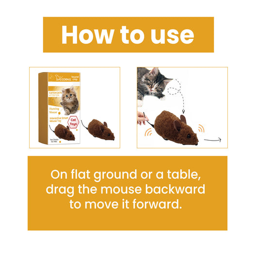 Brown interactive mouse toy for cats with a sound chip, shown in packaging with a kitten graphic and as a standalone toy. - Image 17