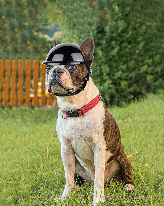 Casco Decorativo para Mascotas - Diseño Moto - Image 3