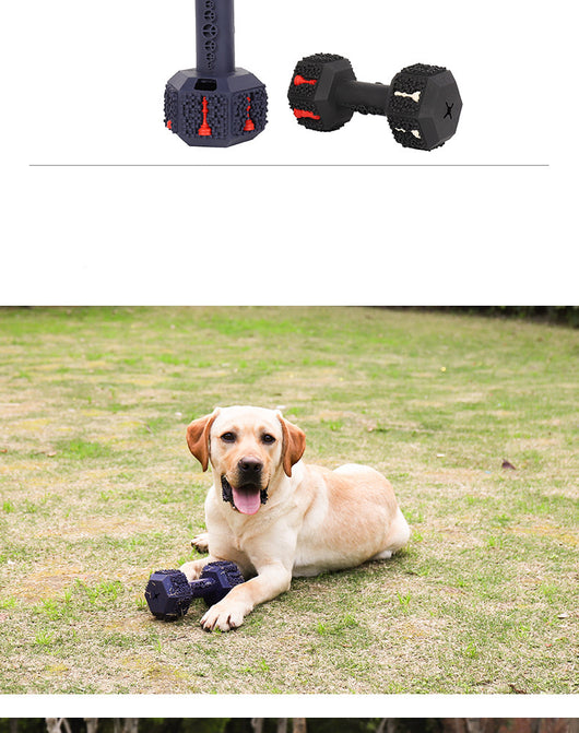 Juguete Mordedor Resistente para Perros Grandes - Limpieza Dental y Entretenimiento - Image 21