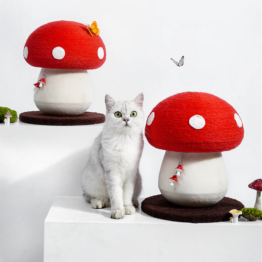Rascador para Gatos Diseño Seta Rojo - Tabla de Rascar Interactiva